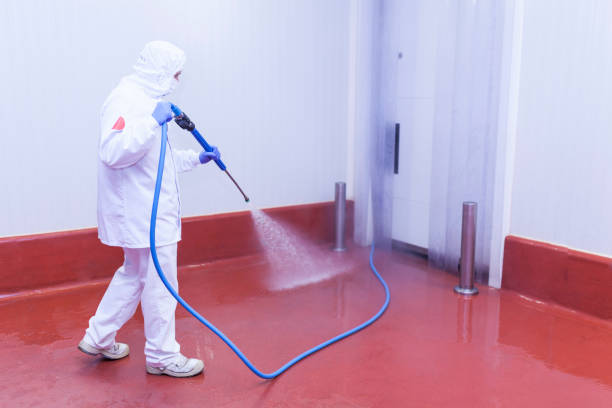 Trusted Duncan, SC  Pressure Washing Services Experts